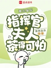 小说星际指挥官